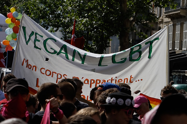 Gay pride Paris JUN13-233